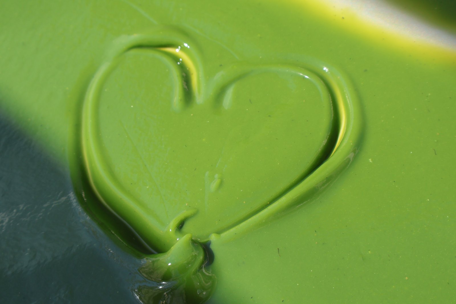 Espirulina, ingrediente principal de la crema facial