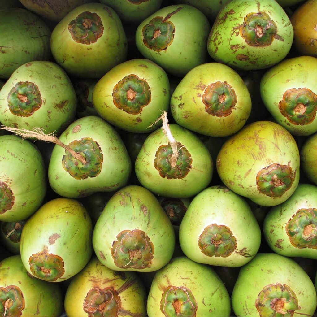 coconuts, fruit, coco, green, seed, drupe, tropical, exotic, shiggaon, india, stack, market, coco, coco, coco, coco, coco, india