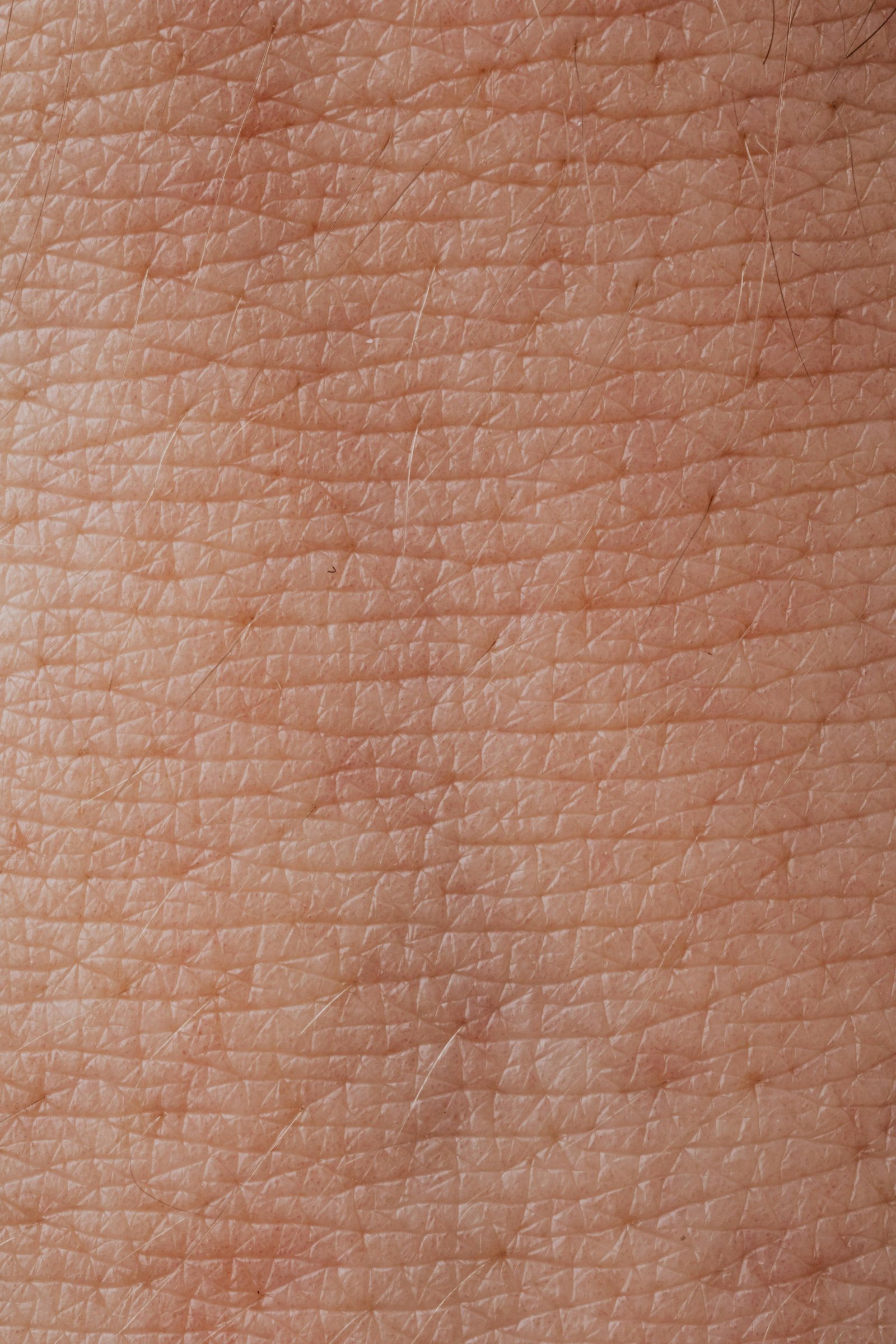 Detailed macro shot of human skin texture highlighting pores and epidermis.