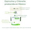 ¡PROMO! Set de  3 polvos de 100g de espirulina + chlorella - Imagen 2