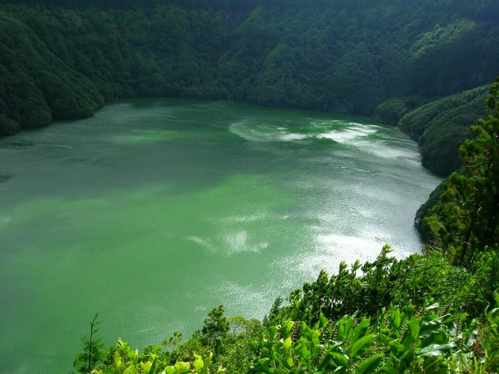 Aerial view of a vibrant green lake nestled within dense forest greenery.