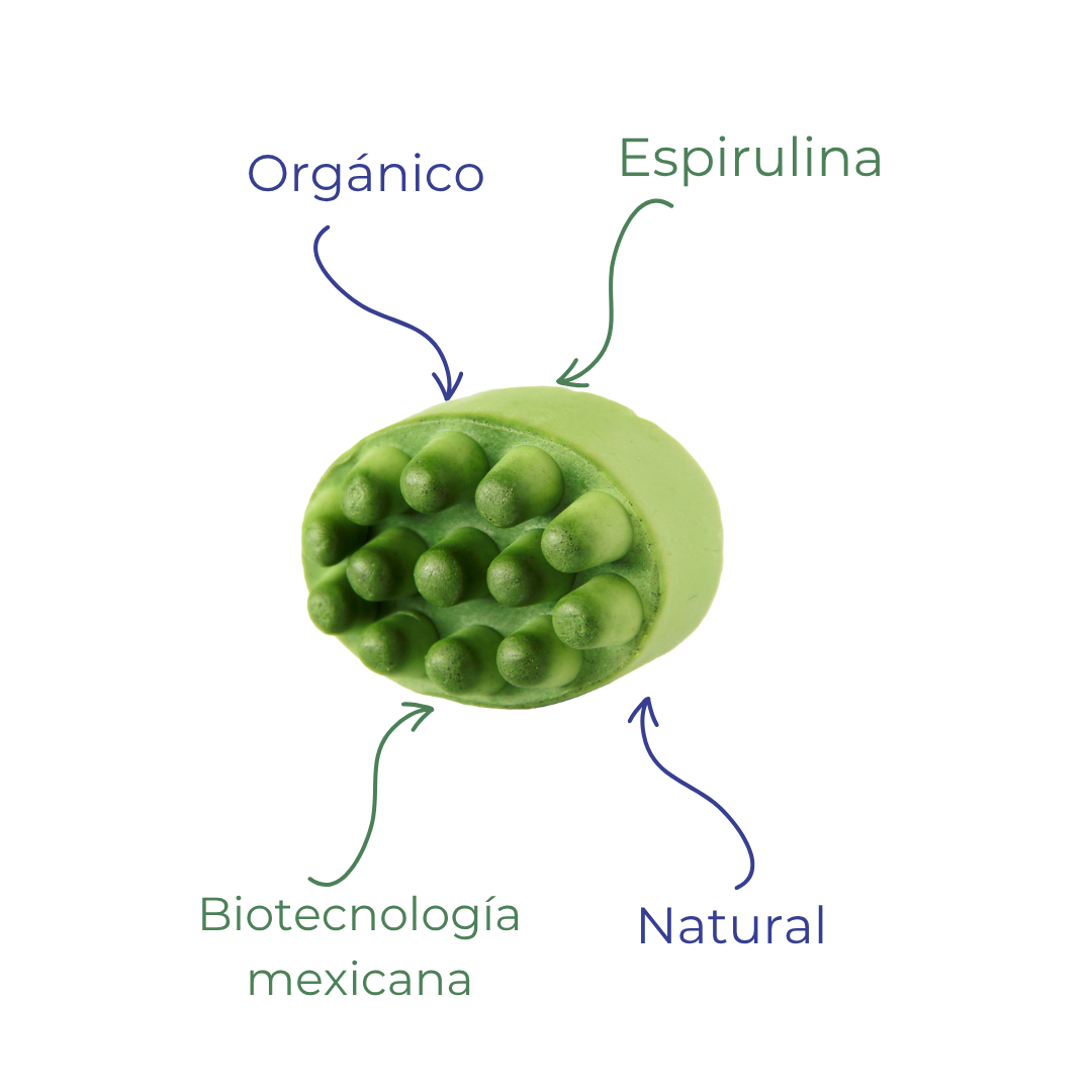 Kit Limpieza Facial (Serum Espirulina + Jabón de Espirulina). - Imagen 2